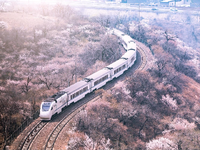 市郊鐵路S2線增開賞花月列車